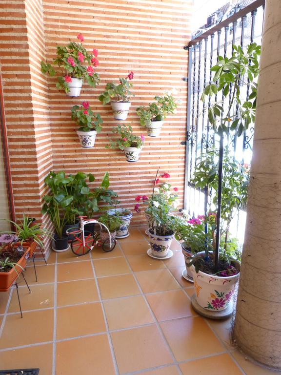 Center * Candeleda